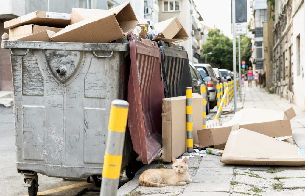 dumpster-overflow-in-San-Dimas-CA